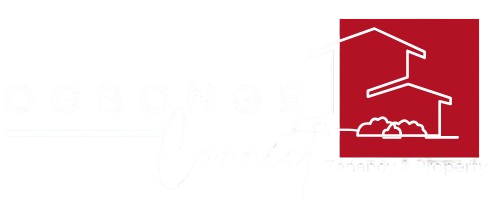 Ogbonge Connect